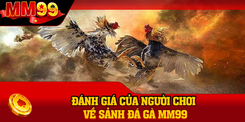 Đánh giá của người chơi về sảnh đá gà MM99