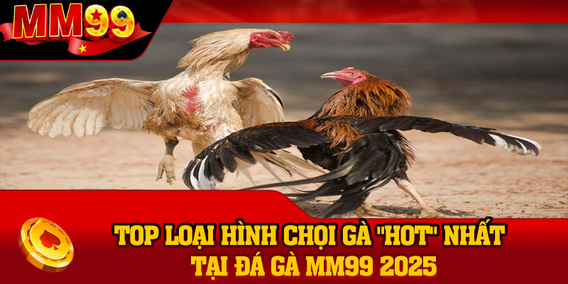 Top loại hình chọi gà "hot" nhất tại Đá Gà MM99 2025